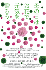 ホームページ母の日特典 10%OFF実施中！